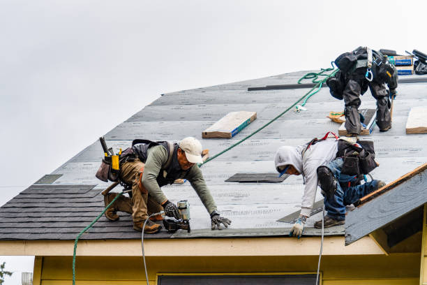 Professional Storm Damage Roof Repair technician working in Knoxville, IA